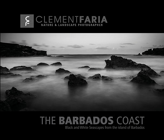 The Barbados Coast