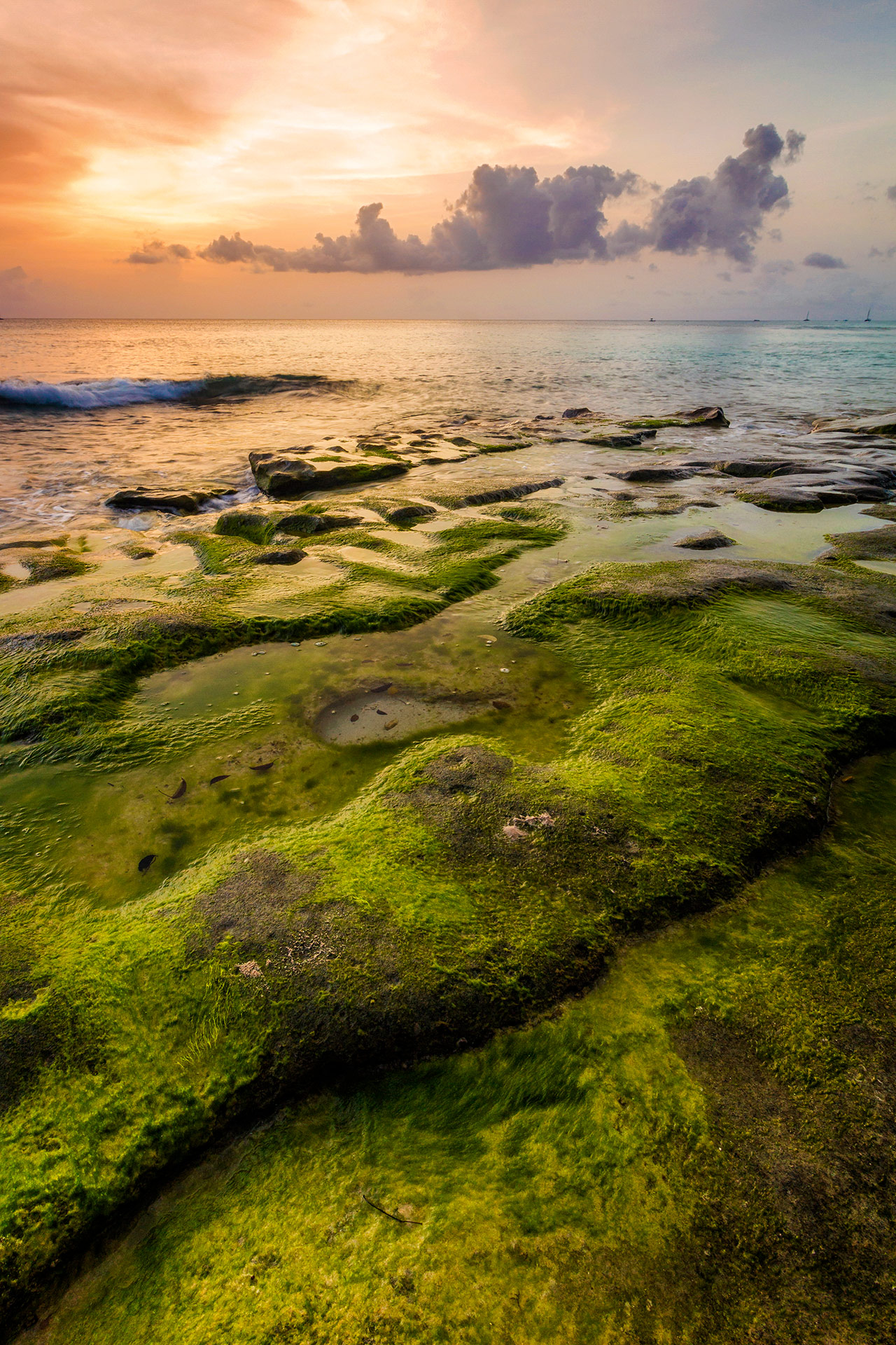 Mossy Green Rocks